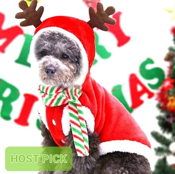 Other - Dog reindeer outfit 🎅